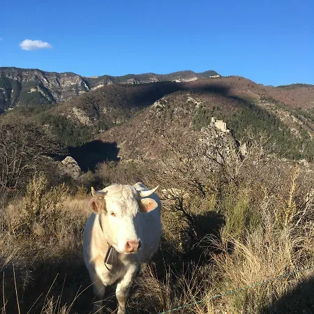 Clôt De Félines Chambre Spacieuse Maison d'hôtes Entrevaux